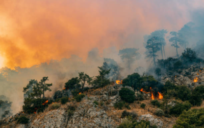 Why James Hardie siding is a Smart Fire Resistant Choice for Homes in the Colorado Mountains